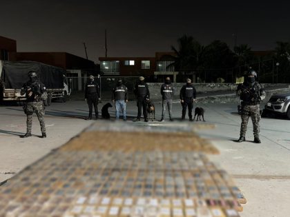 Ecuador: Incautan 799.398 gramos de clorhidrato de cocaína en Puerto de Guayaquil