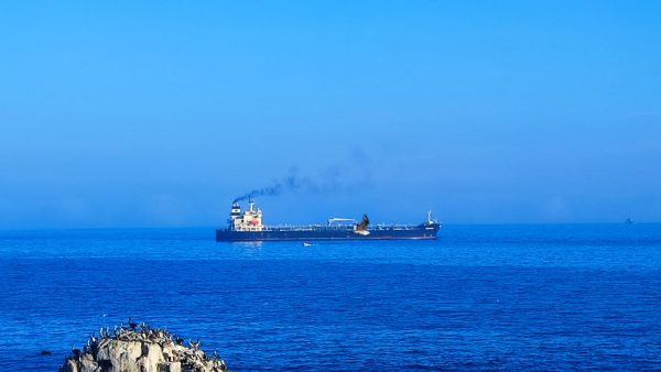 Estados Unidos aplicaría aranceles y tasas portuarias a países que firmen acuerdo sobre emisiones de combustible marino