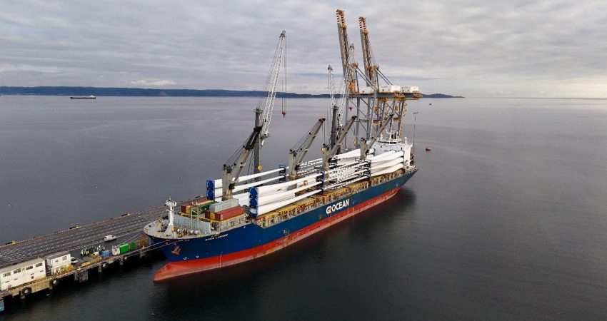 dp world liquen aspas dp world liquen aspas