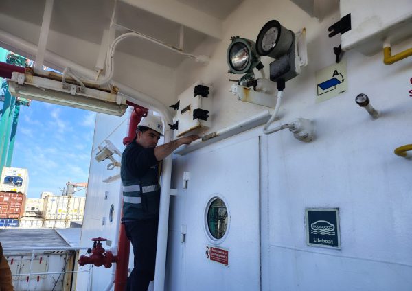 Identifican presencia de huevos de plaga Lymantria dispar a bordo de buque en San Antonio