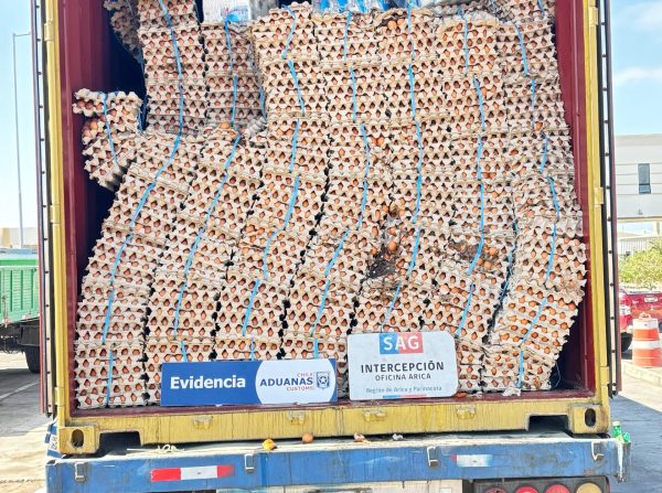 Escáner de Aduanas en Puerto de Arica revela contrabando de 400 mil huevos en contenedor