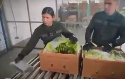 Policía de Colombia incauta 579 kilos de cocaína ocultas en cajas de banano de exportación en Puerto de Santa Marta