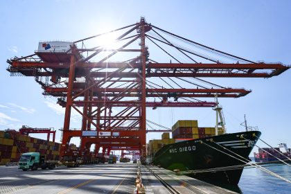 China: DaChan Bay Terminals recibe nuevo servicio asiático de MSC