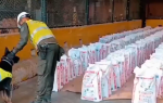 Colombia: Logran mayor incautación de cocaína de la década en recinto portuario de Buenaventura 
