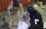Panamá: Incautan paquetes con droga desde contenedor procedente del Perú