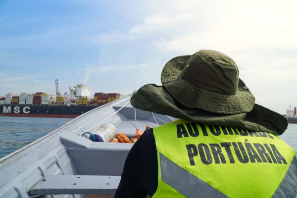 Autoridade Portuária de Santos monitora presença de tartarugas marinhas