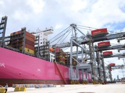 Uruguay: Terminal Cuenca del Plata no atenderá camiones por paro de actividades decretado por Supra