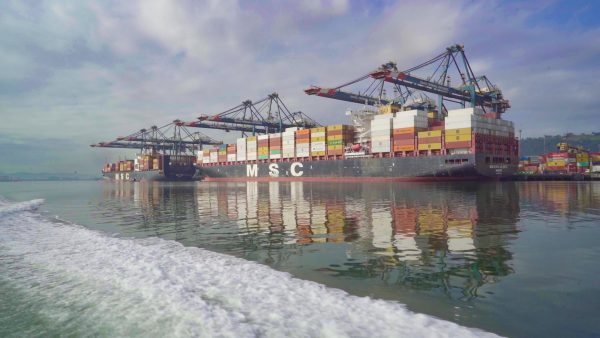 Porto de Santos cresce 11,6% em movimentação de contêineres