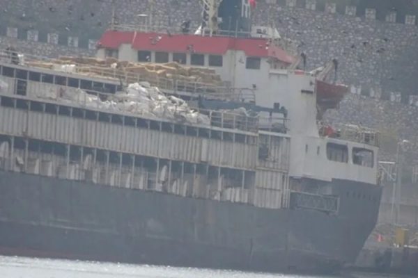 Casi 3 mil vacas procedentes de Uruguay permanecen bloqueadas hace tres semanas a bordo de buque frente puerto turco