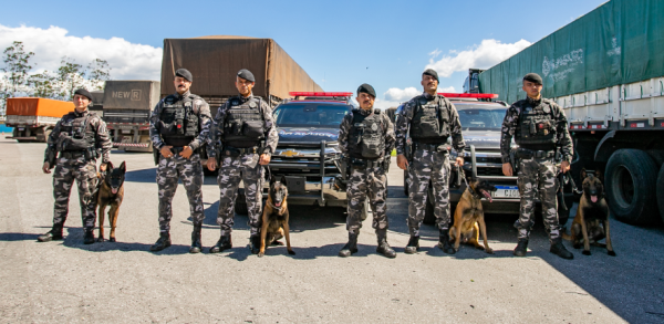 Brasil: Perros rastreadores apoyan Operación Faro en Patio de Clasificación de Puertos de Paraná