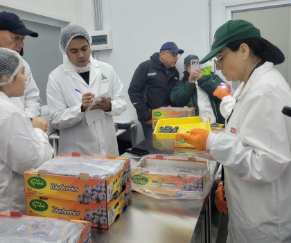 Frutas de Chile y SAG avanzan en apertura de mercados y mejoras de condiciones de ingreso