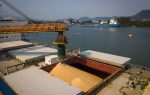 Movimiento de carga en noviembre confirma expectativa de nuevo récord anual en Puerto de Santos