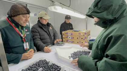 SAG Bio Bio supervisa convenio de inspección fitosanitaria con empresas exportadoras de frutas