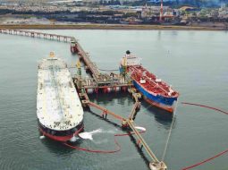 SEA aplaza trámite ambiental para proyecto que busca aumentar calado en Terminal Marítimo San Vicente