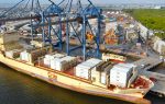 Ecuador: Dole vende su Bananapuerto a filial portuaria de MSC