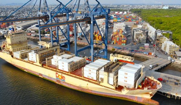 Ecuador: Dole vende su Bananapuerto a filial portuaria de MSC