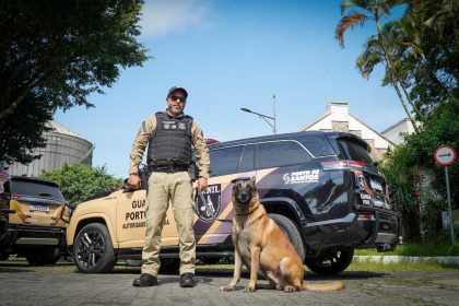 Autoridad Portuaria de Santos licita equipos para adiestramiento de perros guardianes