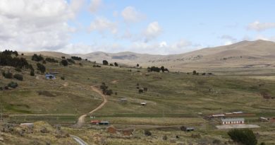 Perú proyecta Puerto Seco en zona de Juliaca