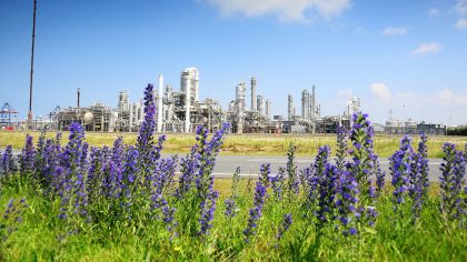 Autoridad Portuaria de Rotterdam presenta plan de transición climática