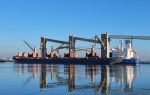 Uruguay: Movimiento de graneles en Puerto de Montevideo crece 29% hasta septiembre de 2025