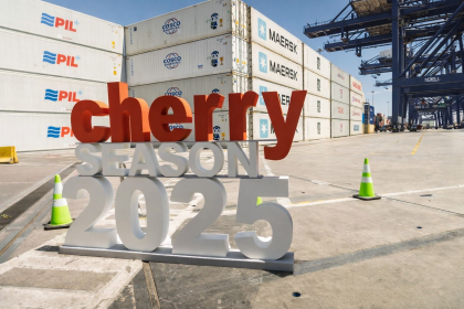 STI cierra temporada exportadora de cerezas 2025 con incremento de 17%