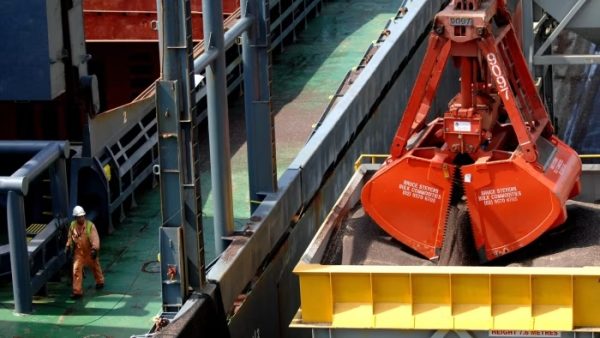 Importador chino adquiere cargamento de canola canadiense y afecta expectativas de exportación de Australia