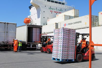 Terminal Puerto Coquimbo inicia temporada alta con primer embarque de fruta de 2026
