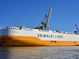 Uruguay: Puerto de Montevideo será hub para nuevo servicio Ro-Ro entre Asia y Río de la Plata