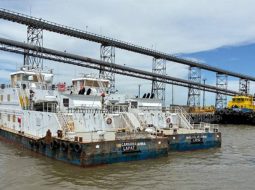 Flota de naves con bandera boliviana que circula por hidrovía Paraguay-Paraná alcanza 598 unidades