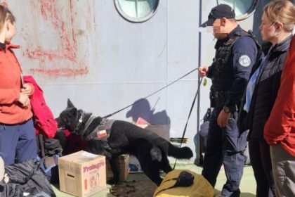 Autoridad Marítima incauta droga a bordo de ferry en Puerto de Punta Arenas