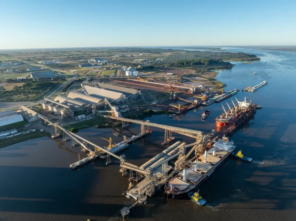 Uruguay: Terminales de Nueva Palmira reciben 417 buques en 2025