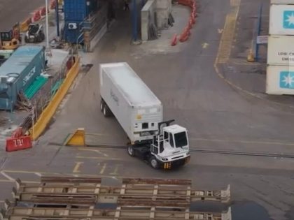 Colombia: Puerto de Santa Marta envía segundo contenedor con lengua de suegra hacia Miami 