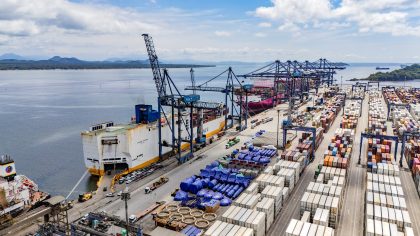 Brasil: Puertos de Paraná exportan casi 200 mil toneladas de carne de pollo congelada en enero