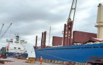 Argentina: Terminal Puerto Rosario descarga productos siderúrgicos provenientes de Brasil