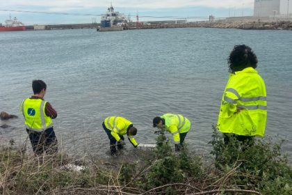 PortCastelló y UPV colaboran en proyecto de I+D para validar nuevos materiales en entornos marinos